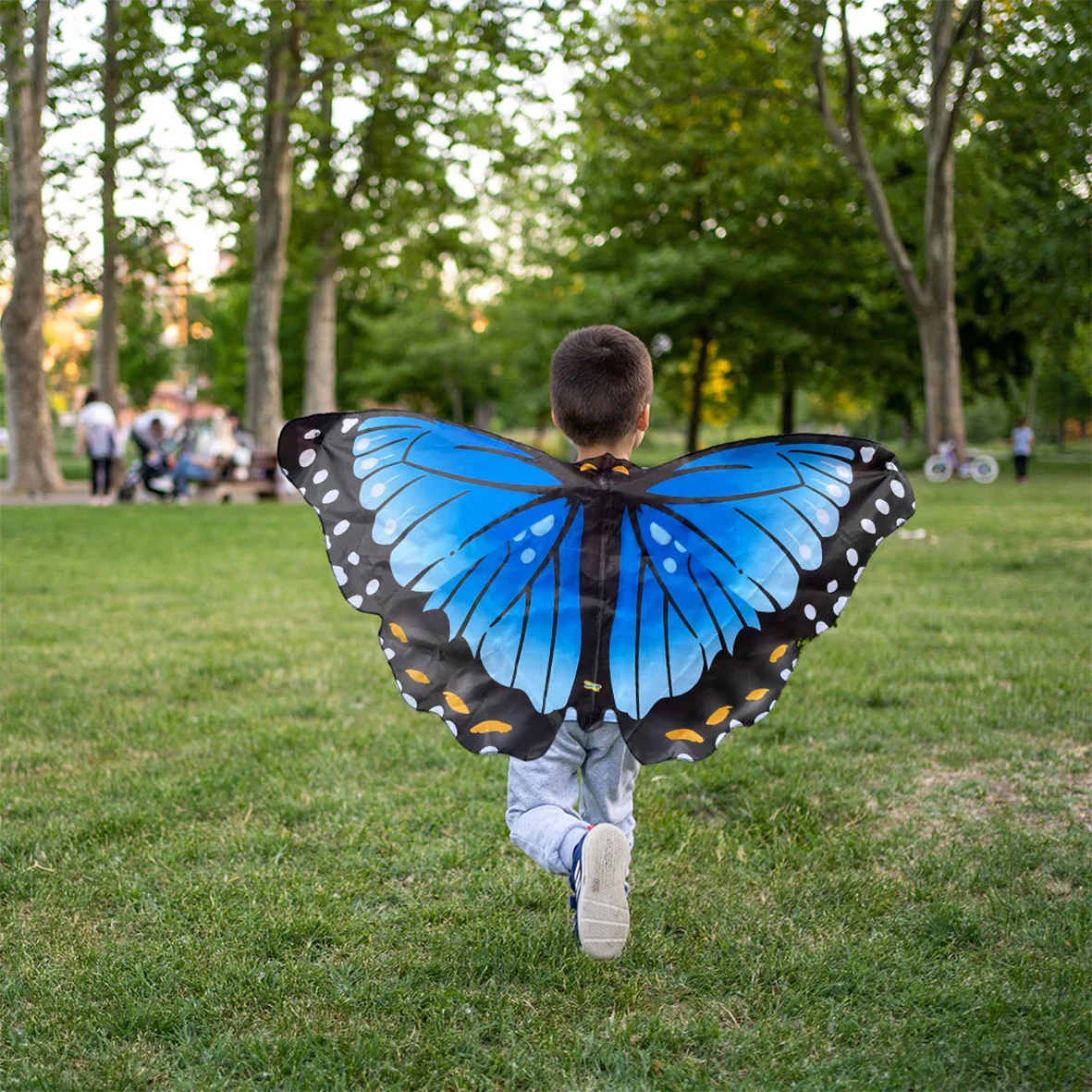 Butterfly Themed Products